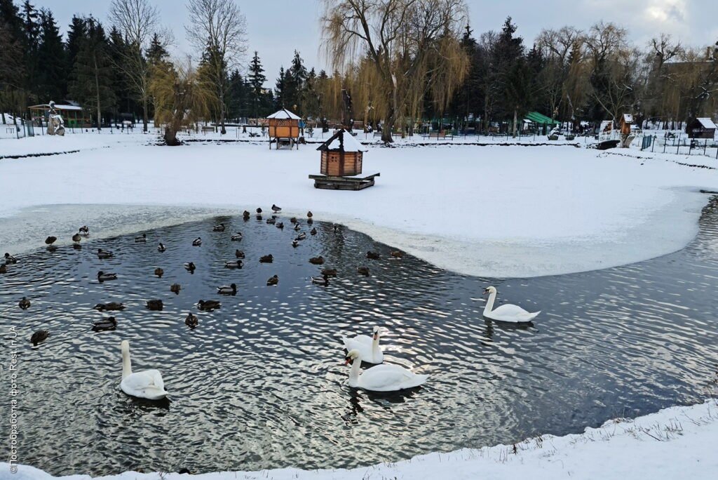 Парк Шевченко зимой