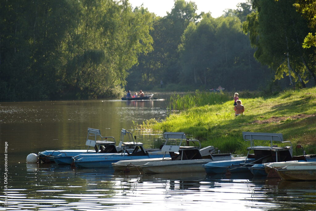 Лісове озеро в Моршині