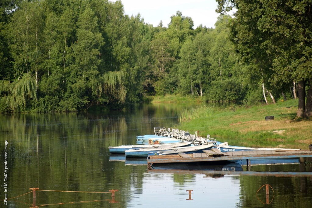 Лісове озеро у Моршині