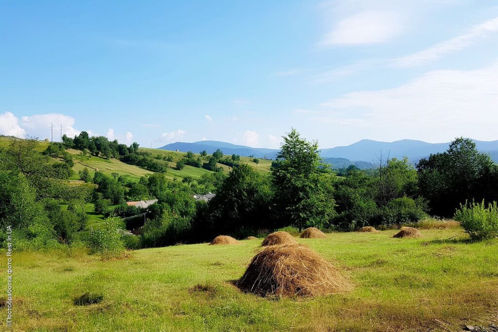 Село Солочин